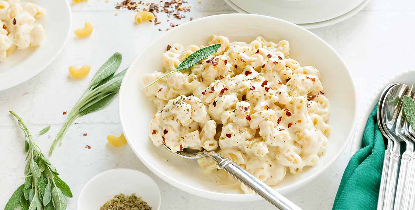 Chifferi Rigati In Cheese Sauce